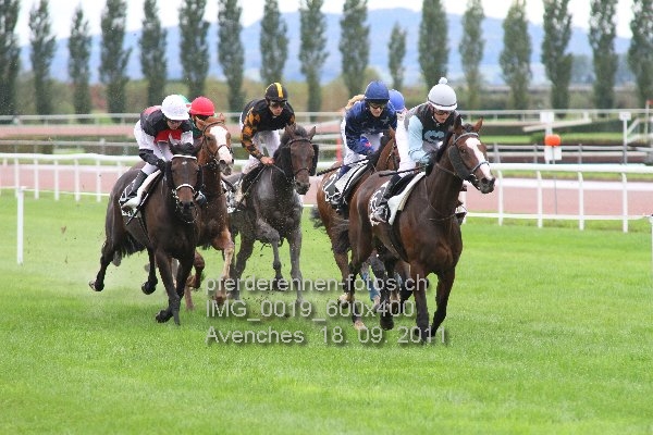 IMG 0019 600x400 prot