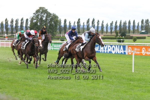 IMG 0021 600x400 prot