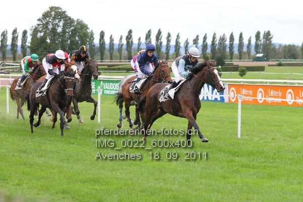 IMG 0022 600x400 prot