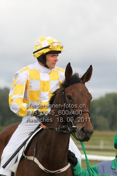 IMG 0045 600x400 prot