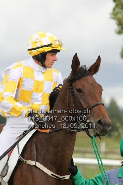 IMG 0047 600x400 prot