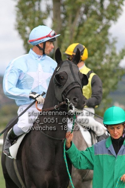 IMG 0051 600x400 prot