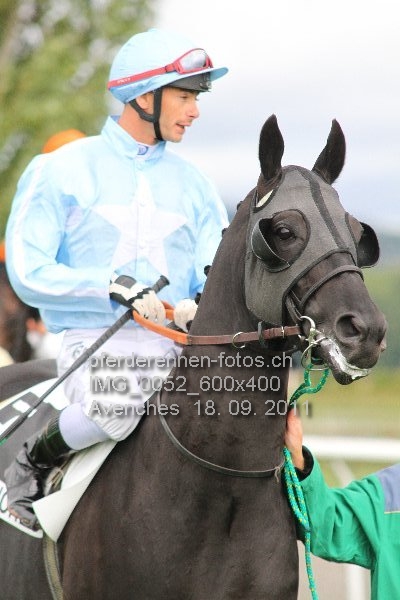 IMG 0052 600x400 prot