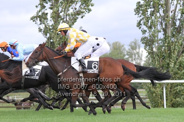 IMG 0067 600x400 prot