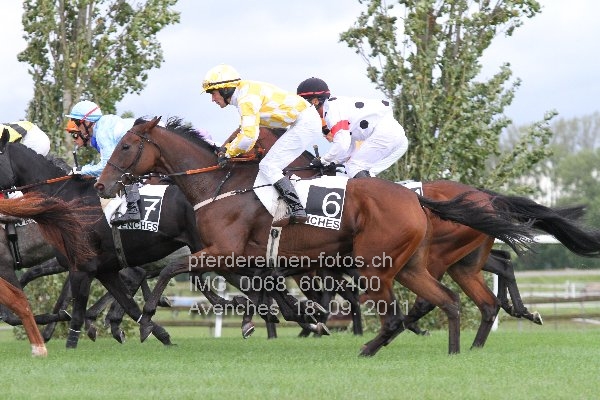 IMG 0068 600x400 prot