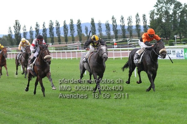 IMG 0080a 600x400 prot