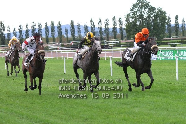 IMG 0081a 600x400 prot