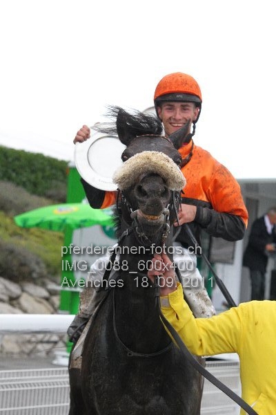 IMG 0088 600x400 prot
