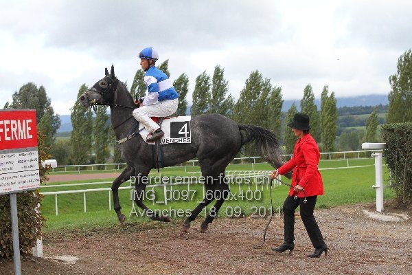 IMG 0097 600x400 prot