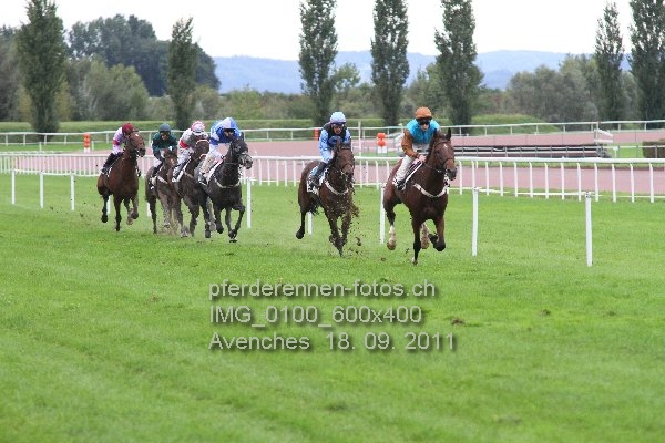 IMG 0100 600x400 prot