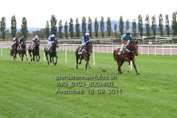 IMG 0103 600x400 prot