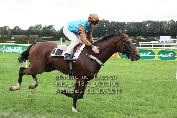 IMG 0118.2 600x400 prot