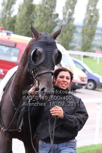 IMG 0119 600x400 prot