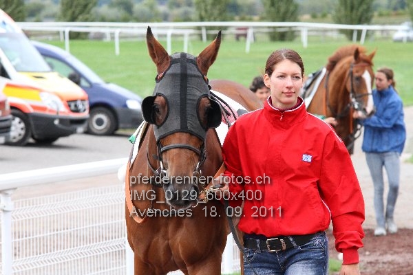 IMG 0129 600x400 prot