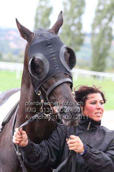IMG 0135 600x400 prot