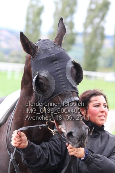 IMG 0136 600x400 prot