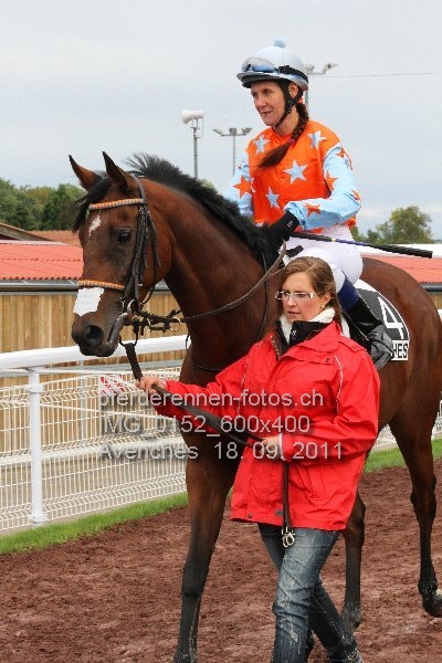 IMG 0152 600x400 prot