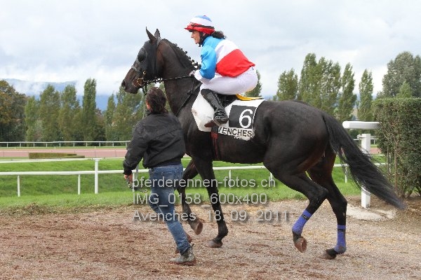 IMG 0158 600x400 prot