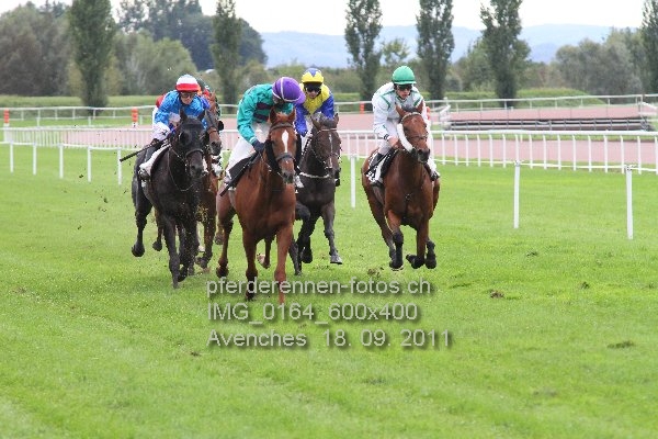 IMG 0164 600x400 prot