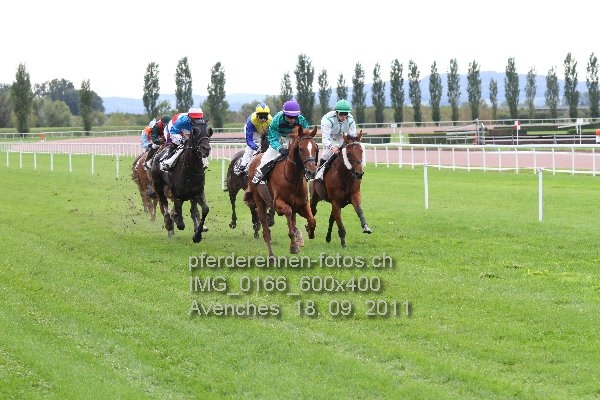 IMG 0166 600x400 prot