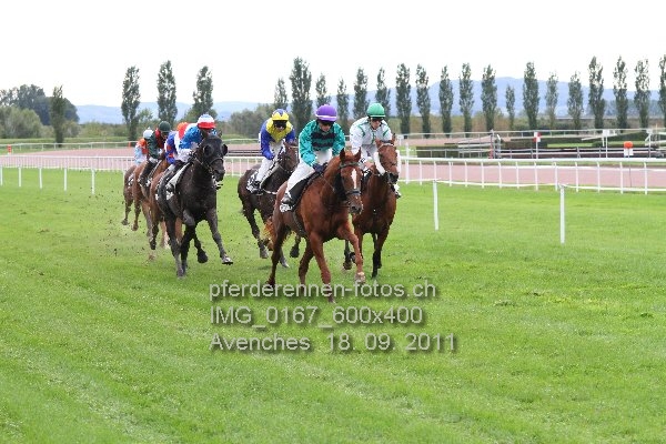 IMG 0167 600x400 prot
