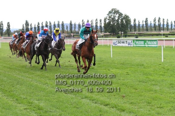 IMG 0170 600x400 prot