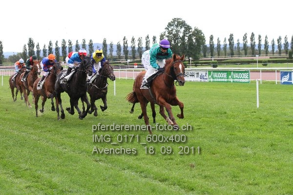IMG 0171 600x400 prot