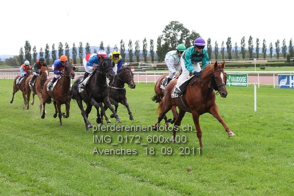 IMG 0172 600x400 prot