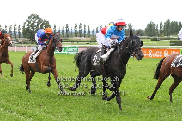 IMG 0174 600x400 prot