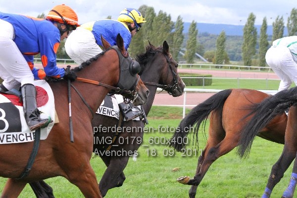IMG 0179 600x400 prot