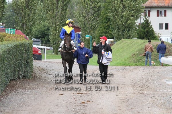 IMG 0192 600x400 prot
