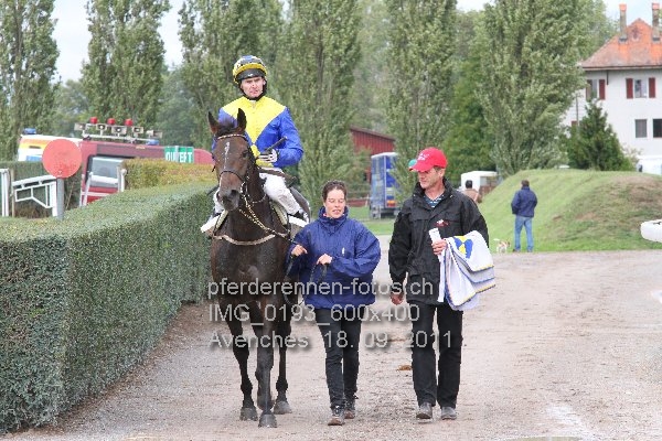 IMG 0193 600x400 prot