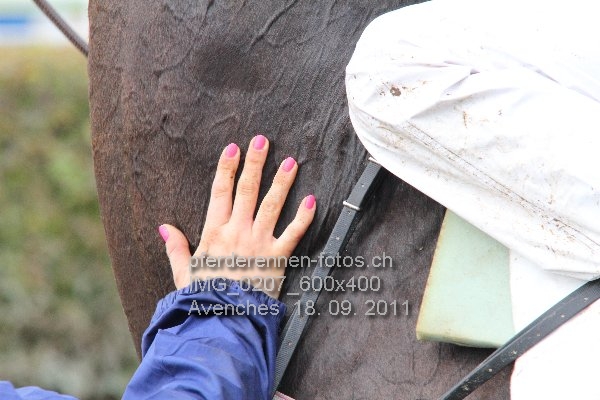 IMG 0207 600x400 prot