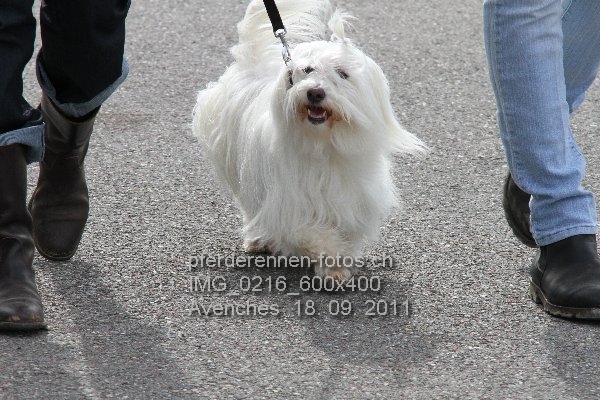 IMG 0216 600x400 prot
