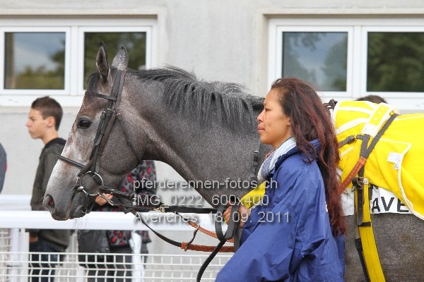 IMG 0222 600x400 prot