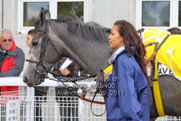 IMG 0223 600x400 prot