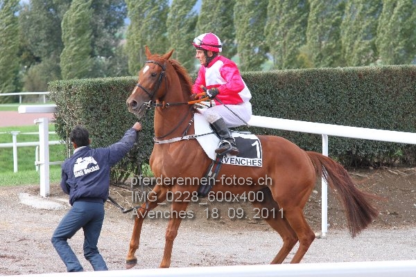 IMG 0228 600x400 prot