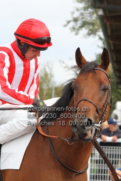 IMG 0230 600x400 prot