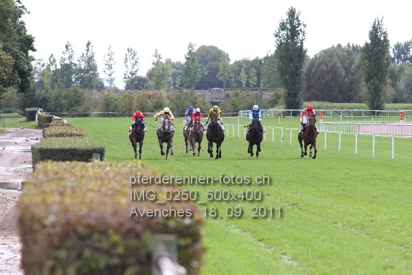 IMG 0250 600x400 prot
