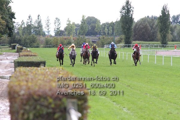 IMG 0251 600x400 prot