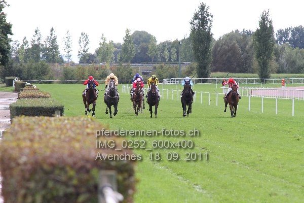 IMG 0252 600x400 prot