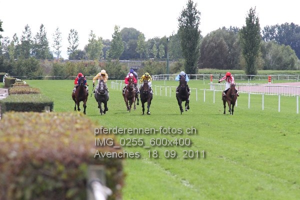 IMG 0255 600x400 prot