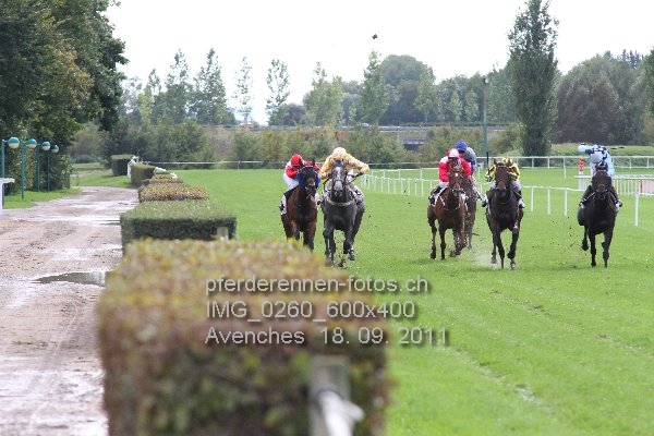 IMG 0260 600x400 prot