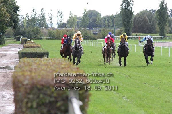 IMG 0262 600x400 prot