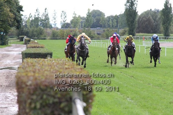 IMG 0263 600x400 prot