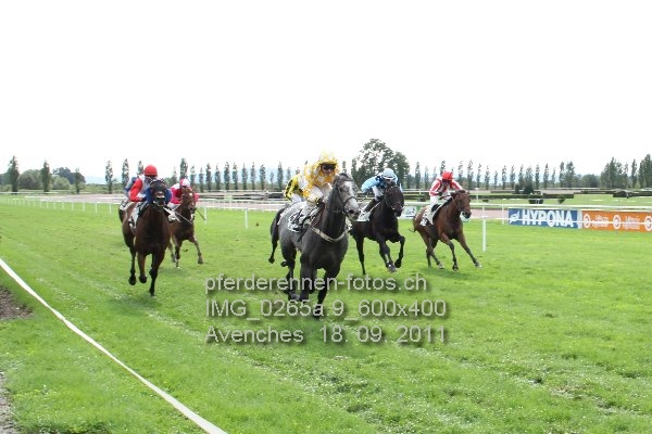 IMG 0265a.9 600x400 prot