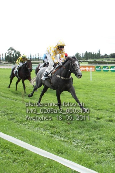 IMG 0266a.2 600x400 prot