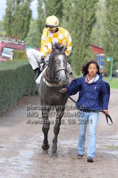 IMG 0267 600x400 prot