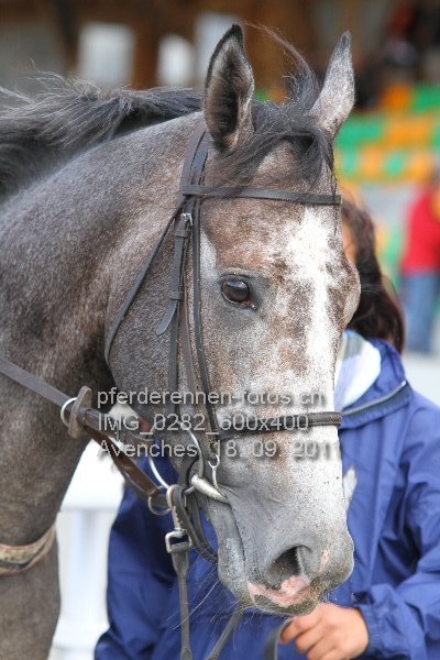 IMG 0282 600x400 prot