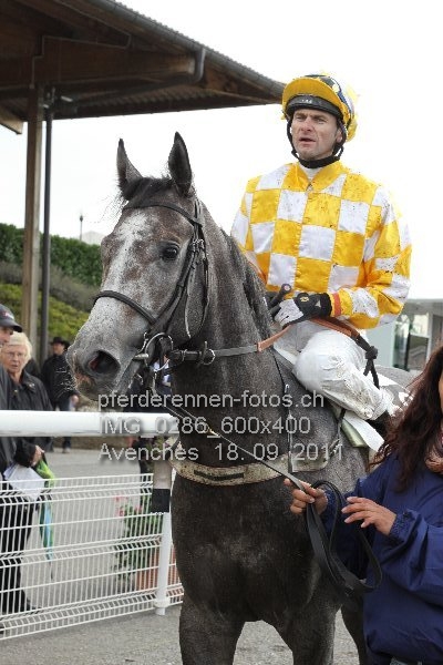 IMG 0286 600x400 prot